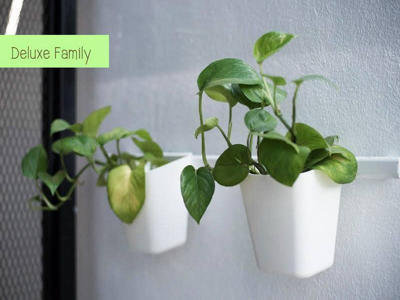 The Leaf Chiangmai Service Apartment Chiang Mai Ngoại thất bức ảnh